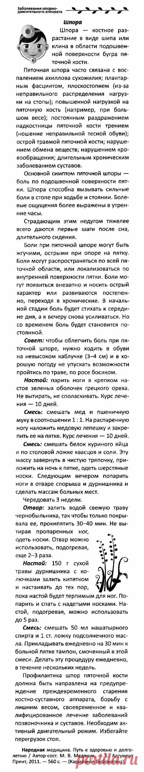 Шпора