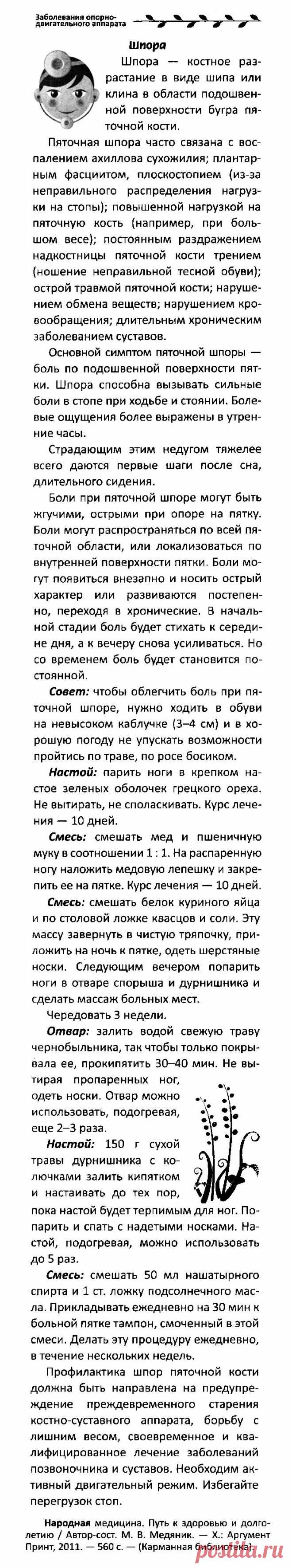 Шпора