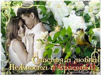 ****************************************