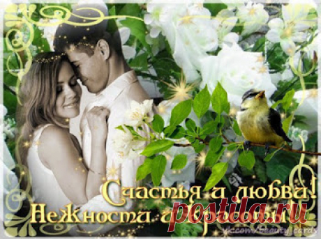 ****************************************