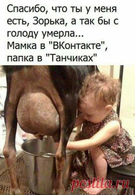 Бабочка-однодневка напилась, всех обматерила, взяла кредит в долларах и сдохла