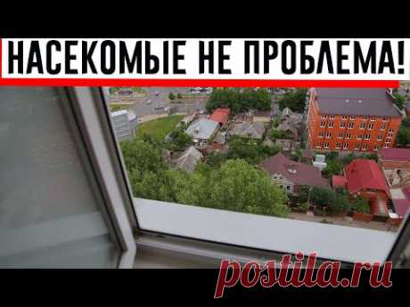 Сетка на окнах мне не нужна. Бабушка научила, как не пускать насекомых при открытых настежь окнах!