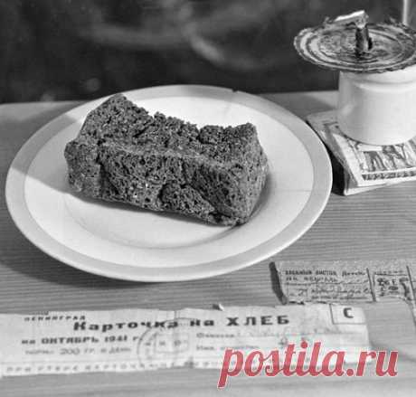 Десять потрясающих примеров выживания в блокадном Ленинграде