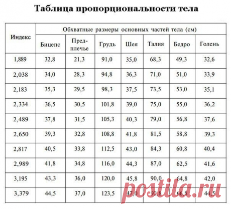 Узнайте, насколько пропорционально ваше тело