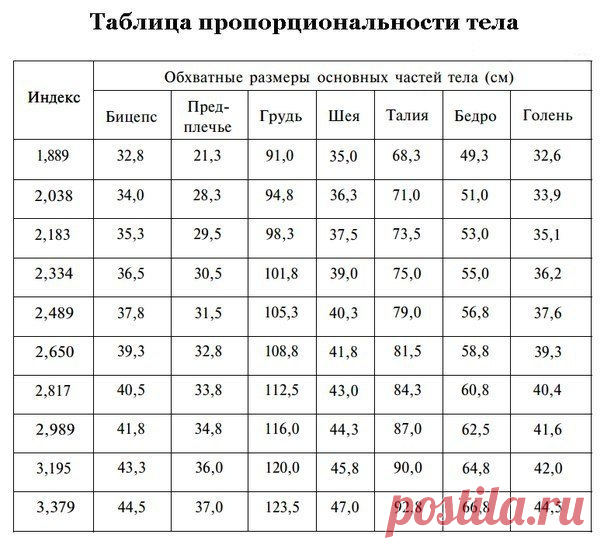 Узнайте, насколько пропорционально ваше тело