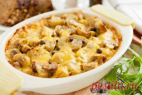 КУРИНАЯ ЗАПЕКАНКА С ГРИБАМИ И СЫРОМ 
Отменный рецептик запеканки 

ИНГРЕДИЕНТЫ:
● Куриное филе — 200 г
Показать полностью…