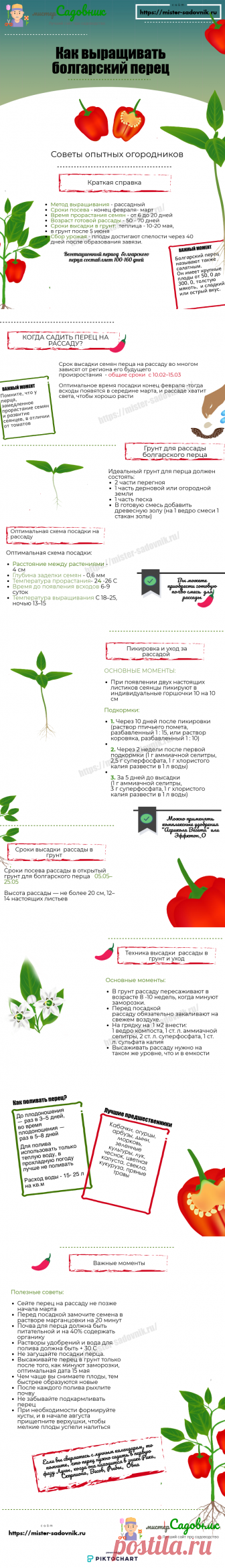 Перец на рассаду по лунному календарю в 2019 - правила и сроки