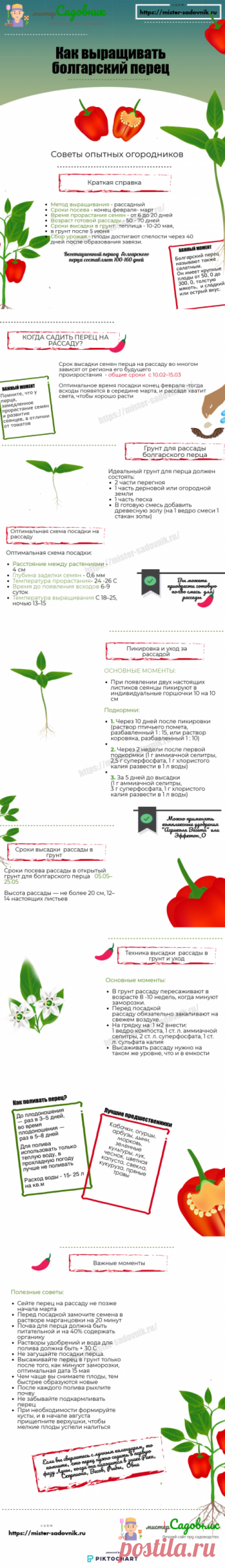 Перец на рассаду по лунному календарю в 2019 - правила и сроки
