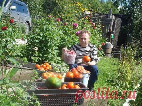 Идеи для дачи