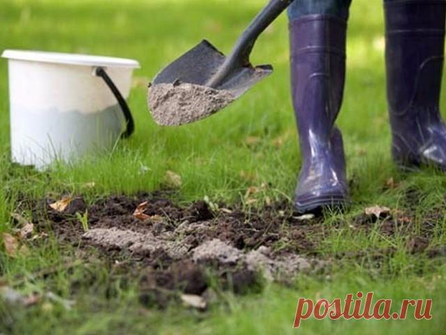 ПОЧТИ ВСЕ, ЧТО НУЖНО ЗНАТЬ ПРО ЗОЛУ 
Сохраните, чтобы не потерять! 

1. Зола питает растения. 

Азота в ней нет, но содержится до 30 элементов: калий, кальций, магний, железо, кремний, фосфор, сера, бор, марганец и др. 

Зола может заменить фосфорно-калийное удобрение. При этом в древесной золе и в золе, полученной от сжигания соломы, содержится разное количество элементов. 
В 100 г древесной золы (1 стакан объёмом 200 гр) содержится 3 г фосфора, 8 г калия, 25 г кальция. 
...