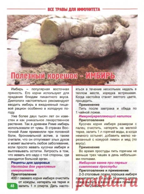 Имбирь - полезный корешок
