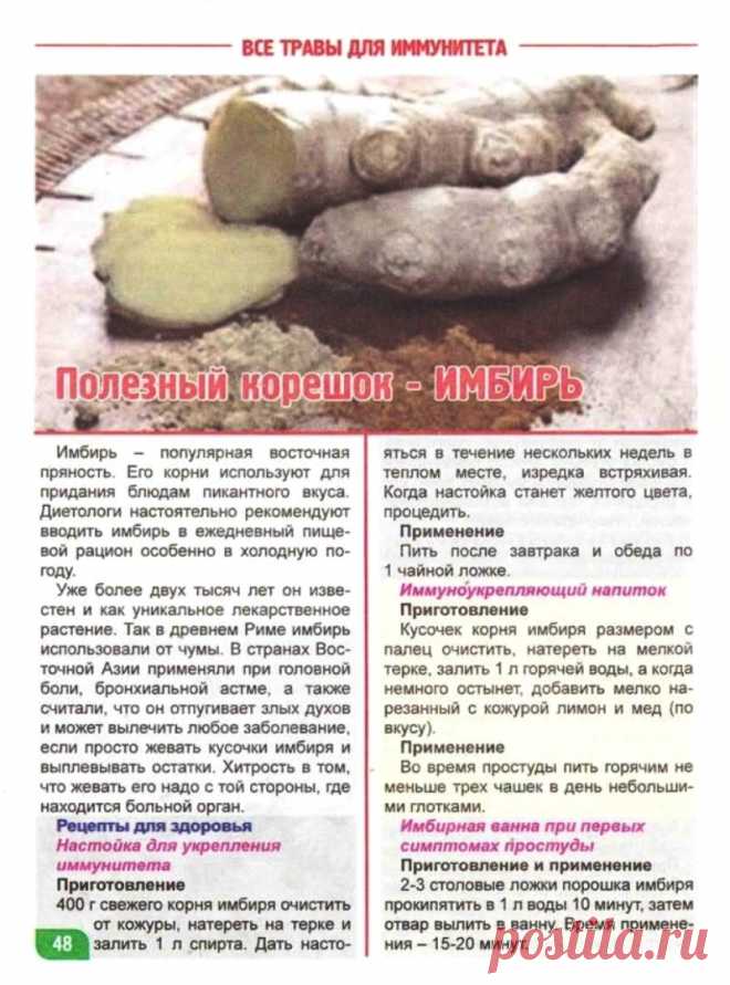 Имбирь - полезный корешок