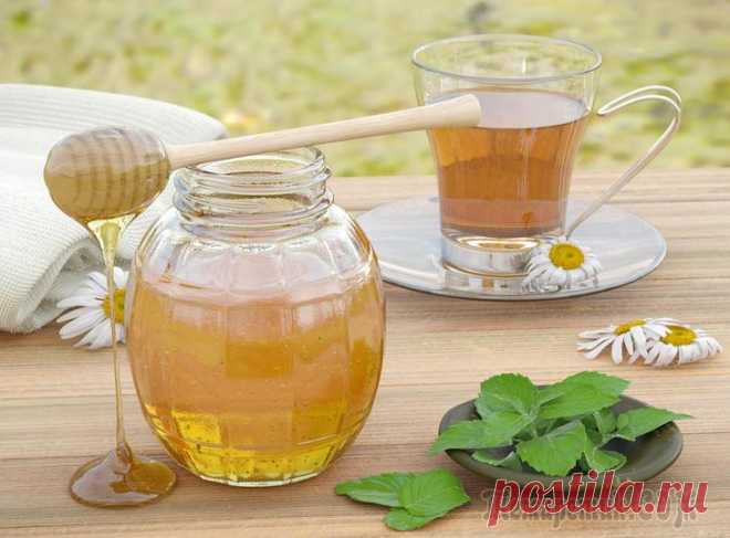 Польза воды с медом и лимоном — 5 секретов для красоты и долголетия