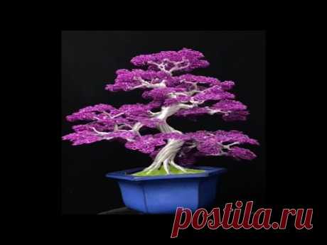 Bonsai tree art ideas from steel wire #01