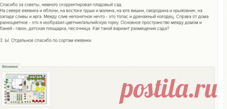 Расположение фруктовых деревьев и кустарников на участке | Страница 4 | Форум: дом и дача