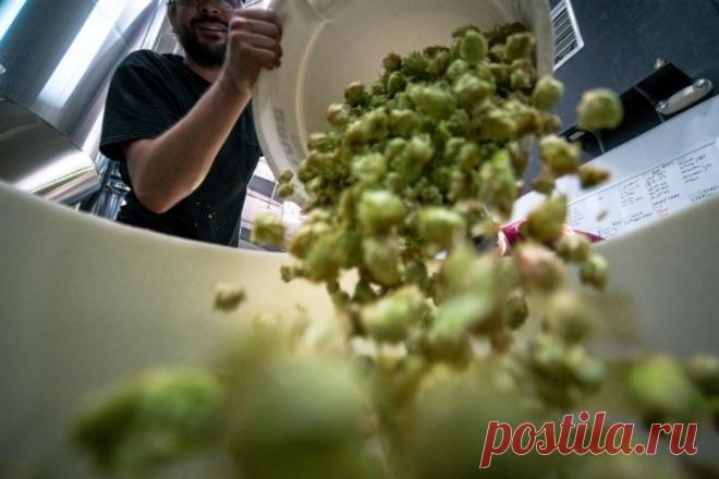 2019 февраль. Российские ученые разработали метод получения бензина из отходов. Ученые из Уральского федерального университета и Тюменского индустриального университета предложили новый метод совместной переработки органических твердых бытовых отходов — пищевых, пластиковых отходов, отработанных шин — с гудроном. В результате получаются жидкие продукты, которые можно перерабатывать в бензин и битум