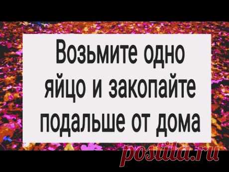 Возьмите одно яйцо и закопайте подальше от дома. | Тайна Жрицы |