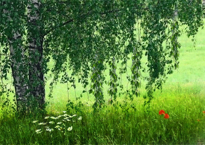 c14d44b56014142948a3a01d3aa94878.gif (700×494)