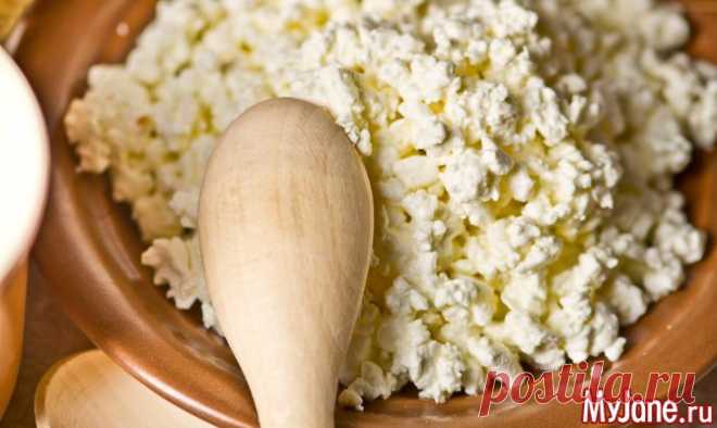 Вкусные и быстрые блюда из творога - творог, блюда из творога, молочные продукты, здоровое питание, быстрые блюда
