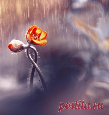 Всего 8 строк, которые заставляют задуматься о самом главном. «ДВОЕ» — щемящее стихотворение Маргариты Алигер | Сказка для двоих