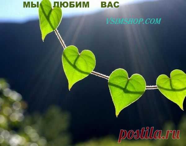 Желаем здоровья! - Vsim Shop