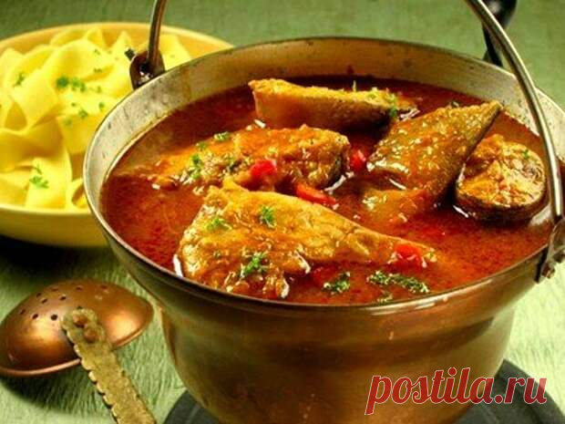 Донская уха по старому казацкому рецепту - БУДЕТ ВКУСНО!
                                             - 19 декабря
                                             - 43578725653 - Медиаплатформа МирТесен Донская уха по-старинному – рецепт, 