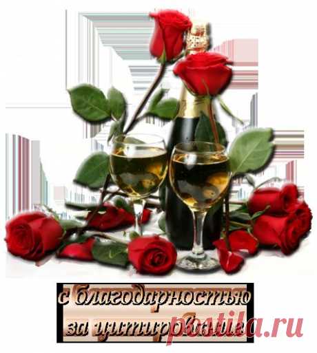 Бродилочка по рейтинговым дневникам ЛИРУ.