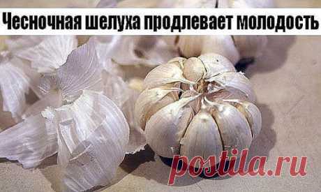 Чесночная шелуха продлевает молодость.
Белую шелуху от чеснока не выбрасывайте когда вы его чистите. А собирайте её и храните. Это ценнейшее средство для продления молодости. Для этого каждый месяц надо пить напиток, приготовленный из белой шелухи чеснока. 
* Приготовление.
- Взять горсть шелухи чеснока. 
- Вскипятить чайник и подождать от 1 до 3 минут, и только потом залить  шелуху стаканом кипятка. 
- Нельзя ни в коем случае пить горячий или даже слегка теплый напиток.
- Пить целебный напито
