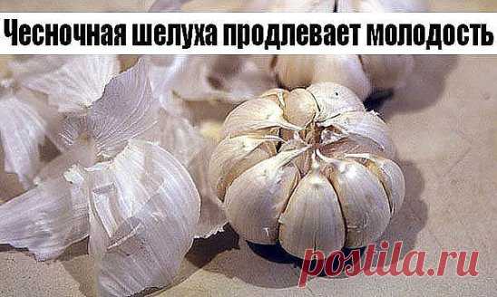 Чесночная шелуха продлевает молодость.
Белую шелуху от чеснока не выбрасывайте когда вы его чистите. А собирайте её и храните. Это ценнейшее средство для продления молодости. Для этого каждый месяц надо пить напиток, приготовленный из белой шелухи чеснока. 
* Приготовление.
- Взять горсть шелухи чеснока. 
- Вскипятить чайник и подождать от 1 до 3 минут, и только потом залить  шелуху стаканом кипятка. 
- Нельзя ни в коем случае пить горячий или даже слегка теплый напиток.
- Пить целебный напито