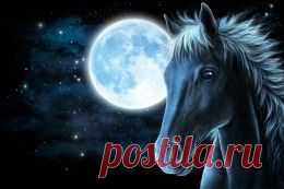 Животные обои (15339 фото) для рабочего стола, скачать картинки