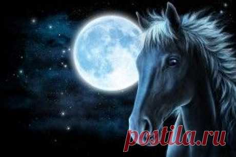 Животные обои (15339 фото) для рабочего стола, скачать картинки