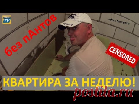 Квартира за неделю/Без пАнтов!
