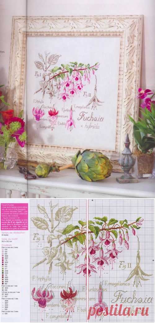 Фуксия из серии "Ботаника" / Вышивка, Вышивка крестом / В рукоделии