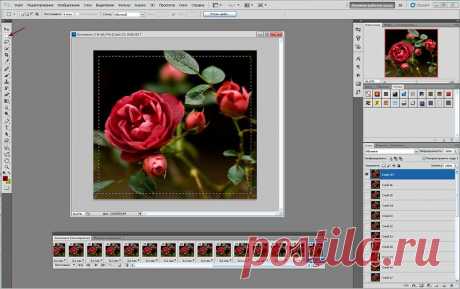 Урок анимации &quot;Живые цветы&quot; в программе Corner-A ArtStudio+Фотошоп..