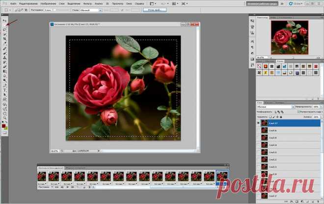 Урок анимации "Живые цветы" в программе Corner-A ArtStudio+Фотошоп..