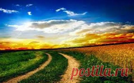 &quot;Нужно быть наглым&quot;