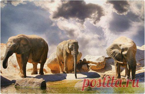 Фотографии Голубая планета - 463 фото в Моем Мире.