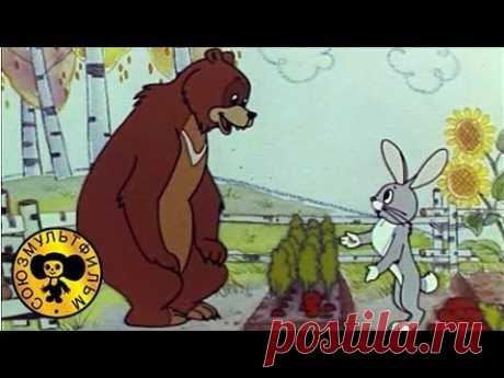 ▶ Сказки Сутеева - Дядя Миша - YouTube