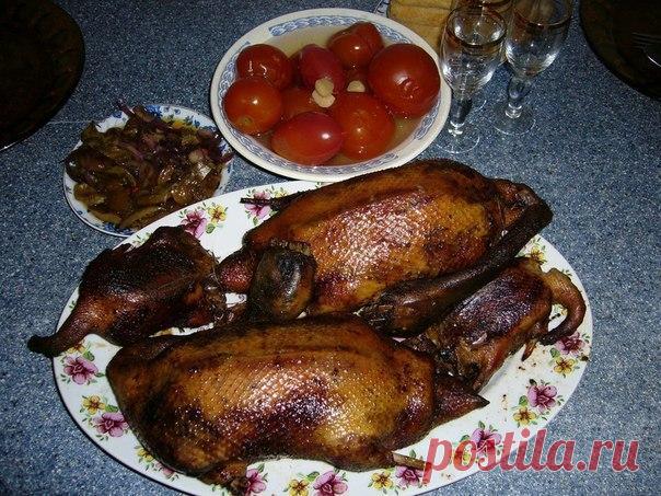 Вальдшнеп фаршированный, осенняя утка, жаренные перепела,тушеный тетерев / Богатая добыча