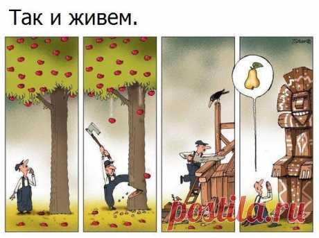 Новости