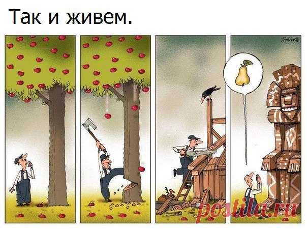 Новости