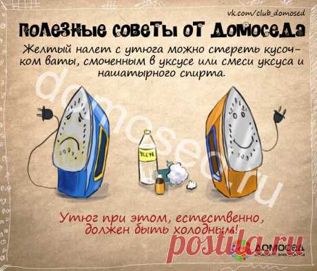 Полезные советы от Домоседа