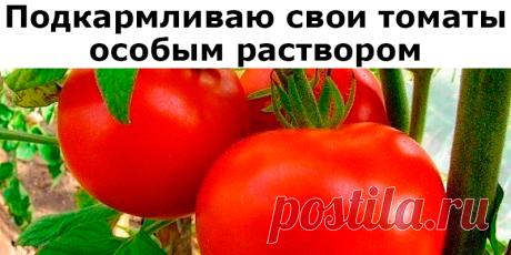 Сад Огород | Полезные советы