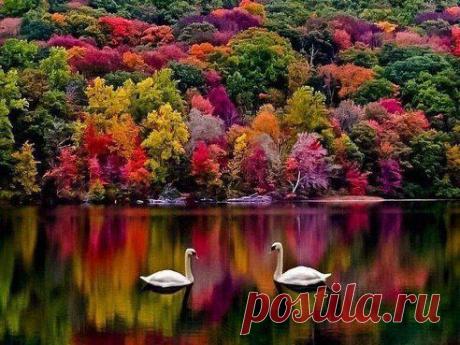 Красота - то какая!