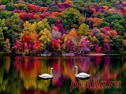 Красота - то какая!