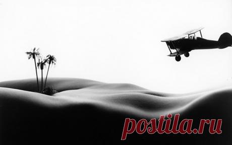 Квинтэссенция Знаний Об Экологии Здоровья