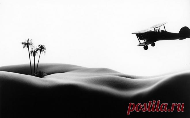 Квинтэссенция Знаний Об Экологии Здоровья