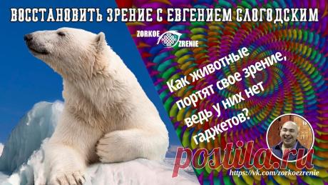 Статьи сообщества ВОССТАНОВИТЬ ЗОРКОЕ ЗРЕНИЕ С ЕВГЕНИЕМ СЛОГОДСКИМ