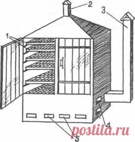 сделай сам - приспособления и сита для сушки трав: 4 тыс изображений найдено в Яндекс.Картинках