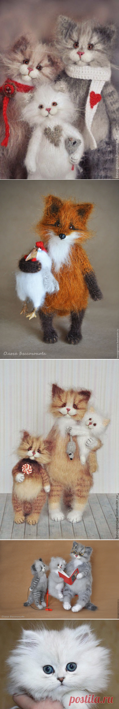 Коты Ольги Бессогоновой: милые и пушистые звери